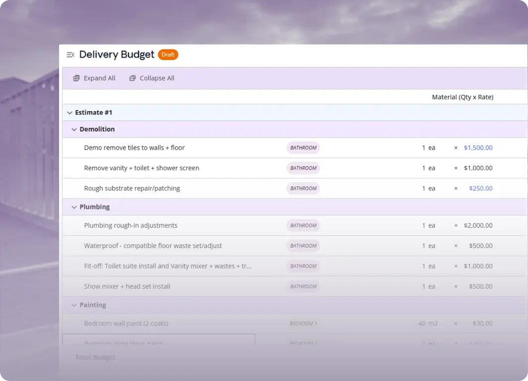 Project Delivery Delivery Budgets